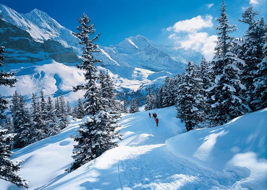 Chalet Sonnenblick Apartment Бриенц Екстериор снимка